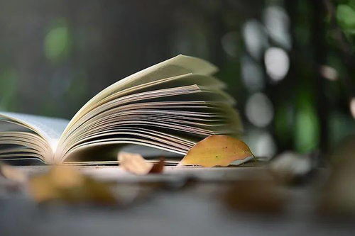 新乡市新华书店文学类图书周榜 文艺创作类热销精选